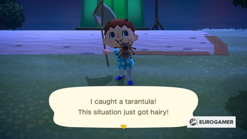 Animal Crossing Bugs list All bug prices, locations, and how to catch